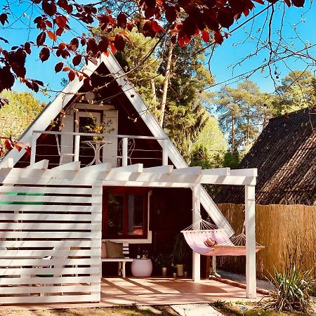 Nadi'S Holiday Home - Heart Of Woods, Szentendre Island Szigetmonostor Exterior foto